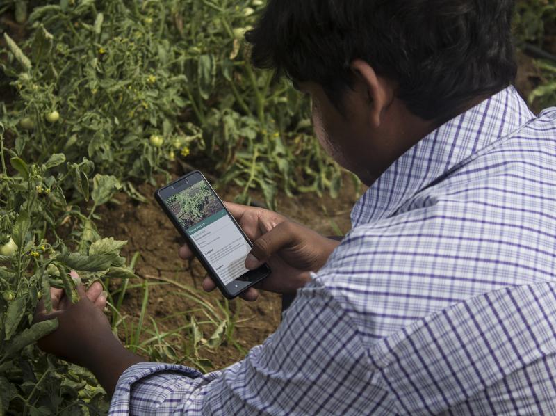 AgriTech Insight